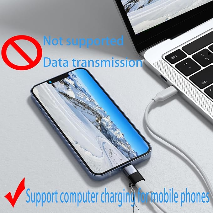 USB C to Lig-htn-ing adapter, iO-S OTG adapter, suitable for connecting wireless microphones, USB flash memory, speakers, card readers, mice, keyboards, and other devices to mobile phones and tablets