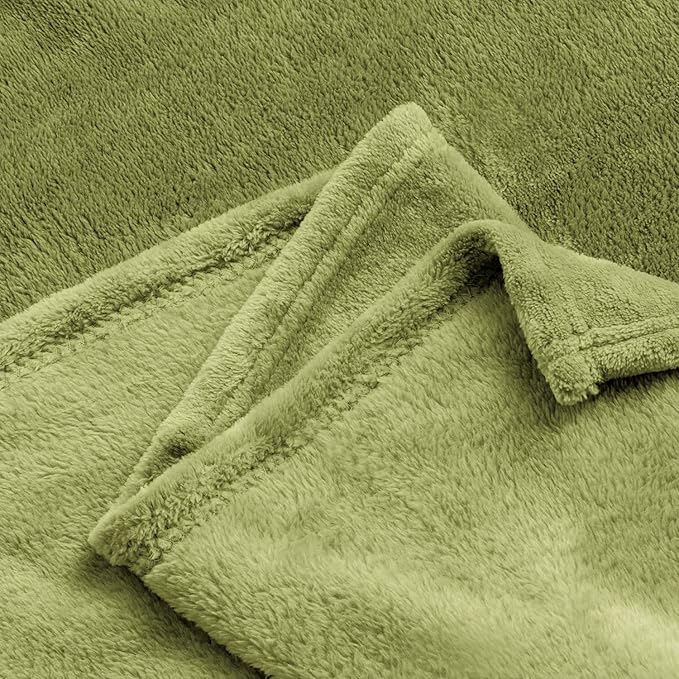 BEDELITE Fleece Blankets Queen Size Sage Green Throw Blankets for Bed, Luxury Plush Cozy Fuzzy Blanket 90x90 inches, Super Soft Warm Lightweight Throw Blanket All Seasons Suitable