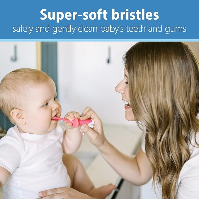 Dr. Brown's Infant-to-Toddler Toothbrush Set, 1.4 Ounce, Pink