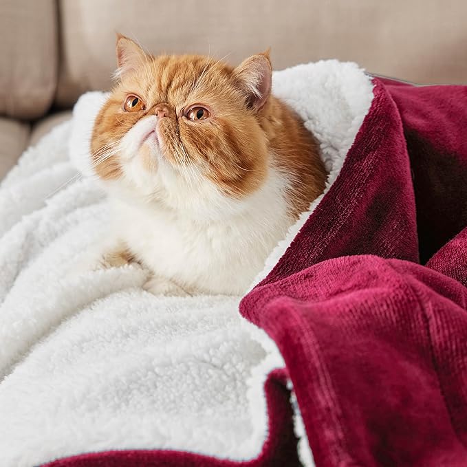 Bedsure GentleSoft Sherpa Fleece Blankets King Size for Bed - Thick and Warm Throw for Girls and Women, Soft Fuzzy Plush King Christmas Blanket for Winter, Red, 108x90 Inches