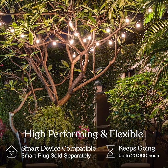 Brightech Ambience Pro LED String Lights - 26 Ft Patio Lights Outdoor Waterproof - Globe Porch String Lights for Outside, Christmas, Backyard - 12 Bulbs, 1W Vintage Edison, Warm White Black
