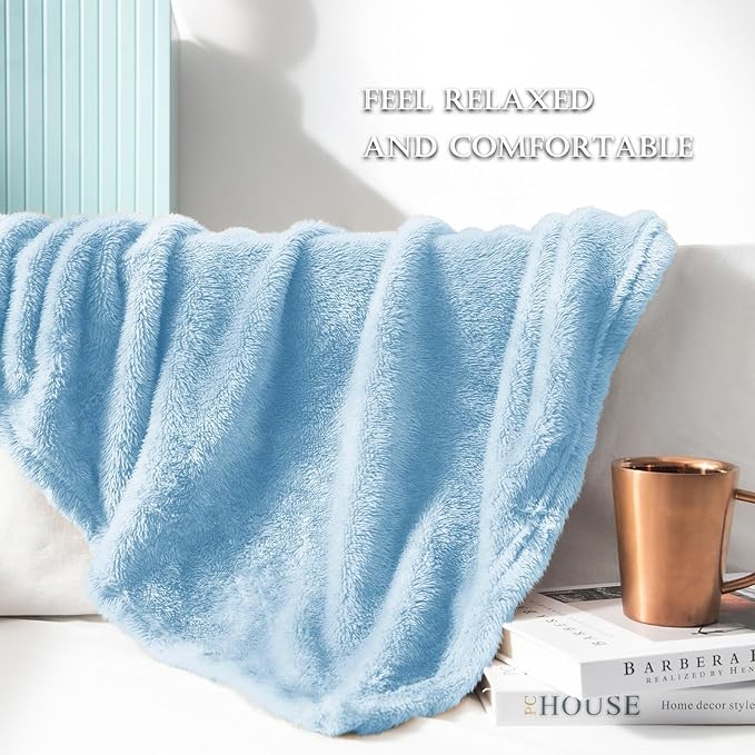Exclusivo Mezcla Plush Fuzzy Fleece Bed Blanket King Size, Super Soft, Fluffy and Warm Blankets, Suitable for All Seasons (Light Blue, 90x104 Inches)