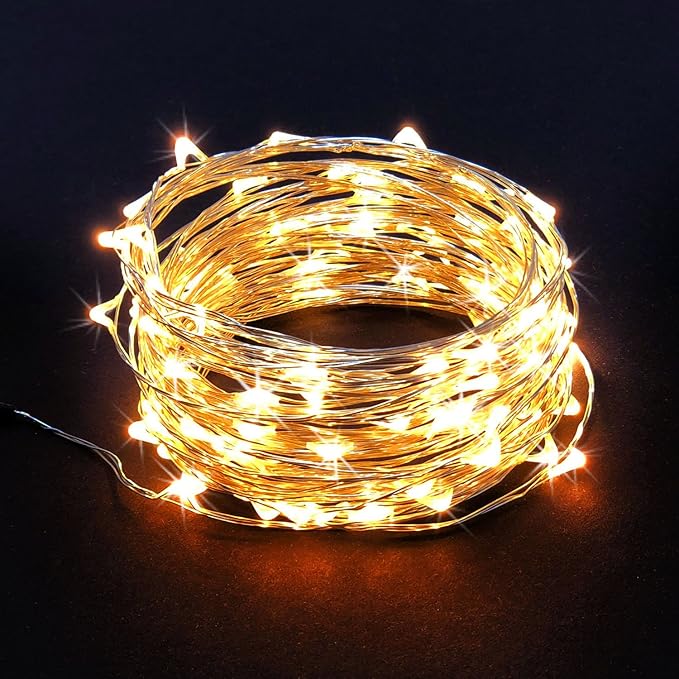 100 LED String Lights, 32 Feet, Silver Wire, Warm White, Plug-in, Indoor-Outdoor, 5V DC Transformer