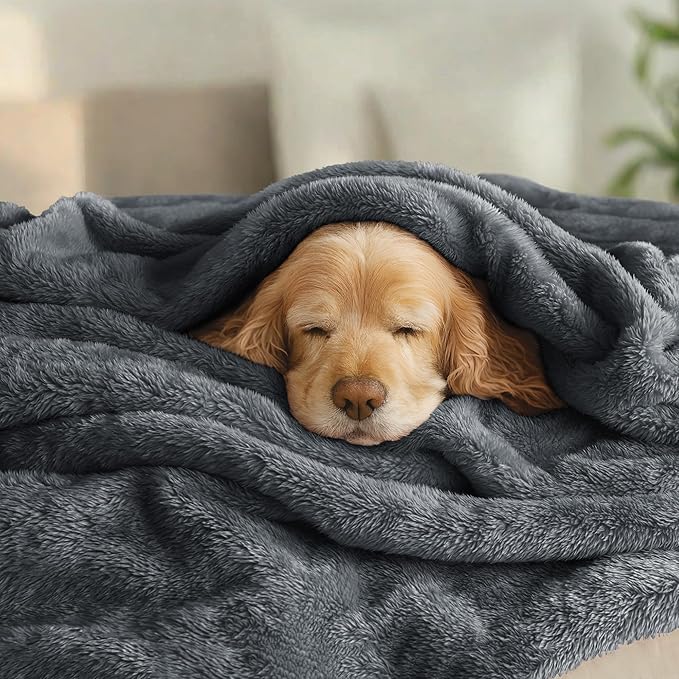 Exclusivo Mezcla Plush Fuzzy Fleece Bed Blanket Twin Size, Super Soft, Fluffy and Warm Blankets, Suitable for All Seasons (Dark Grey, 90x66 Inches)