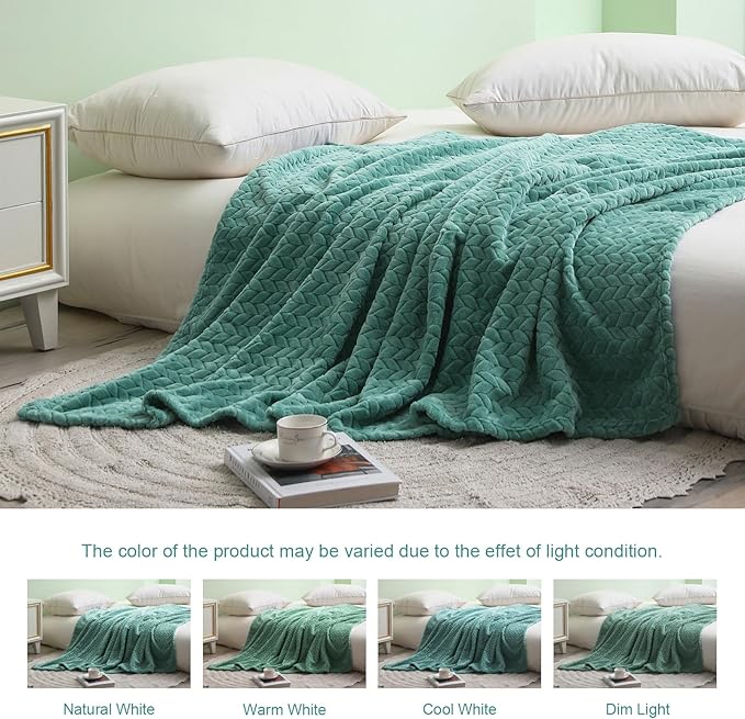 Exclusivo Mezcla Fleece Twin Size Blanket for Bed, 90x66 Inches Soft Cozy Jacquard Flannel Blankets, Lightweight Fuzzy Plush Warm for Winter, Celadon