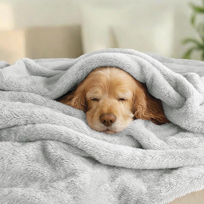 Exclusivo Mezcla Plush Fuzzy Fleece Bed Blanket Queen Size, Super Soft, Fluffy and Warm Blankets，Suitable for All Seasons (Light Grey, 90x90 Inches)