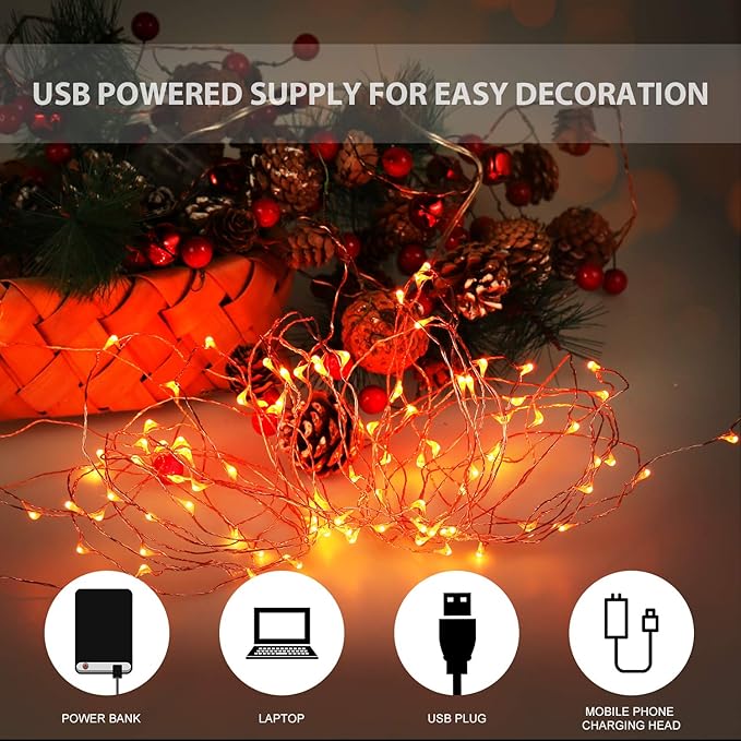 Halloween USB LED Fairy String Light, 1 Pack Copper Wire Fairy Lights for Indoor, Bedroom Festival Christmas Wedding Party Patio Decorative Window with USB Interface (32ft./10M,Orange)