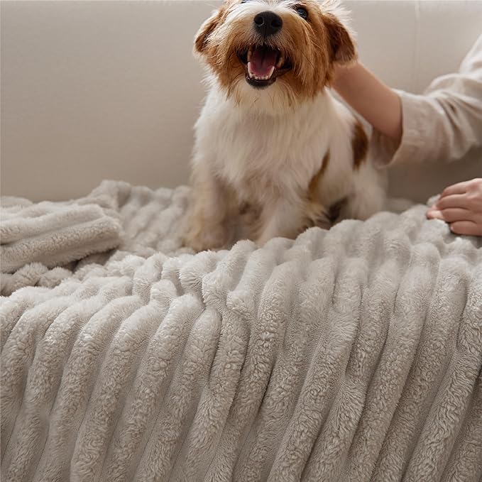 Bedsure GentleSoft Blankets Queen Size for Bed - Cozy Soft Blankets for Women, Cute Large Fleece Throws for Girls, Linen, 90x90 Inches