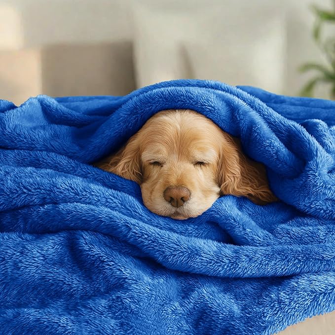 Exclusivo Mezcla Plush Fuzzy Fleece Bed Blanket Queen Size, Super Soft, Fluffy and Warm Blankets Suitable for All Seasons (Cobalt Blue, 90x90 Inches)