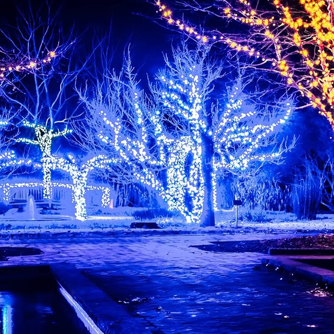 Wintergreen Lighting 50 LED Blue Christmas Lights, 25 ft Indoor/Outdoor Wide Angle Mini String on Green Wire, Commercial Grade with 6" Spacing, 5mm