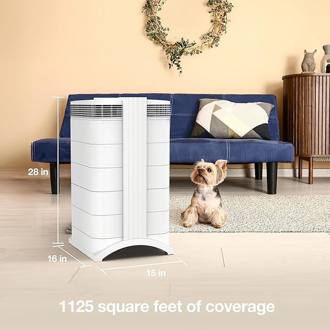 IQAir HealthPro Plus XE Air Purifier - Smart HyperHEPA Filtration for Large Rooms up to 1125 sq ft - Smoke, Viruses, Allergens, Asthma, Mold, Dust, Pets, Swiss Made, WiFi Enabled