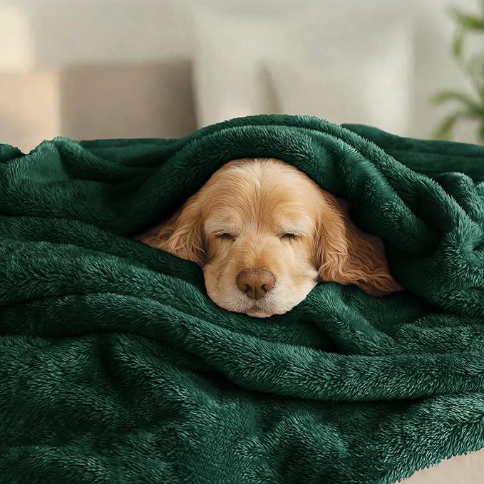Exclusivo Mezcla Plush Fuzzy Fleece Bed Blanket King Size, Super Soft, Fluffy and Warm Blankets, Suitable for All Seasons (Forest Green, 90x104 Inches)