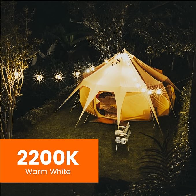 Feit Electric LED String Lights, 20ft Commercial Grade and Shatter Resistant String Lights with 10 Outdoor Sockets, Linkable, 15,000-Hour Lifetime, Wet Rated, SL20-10/FIL, 12 Bulbs Included