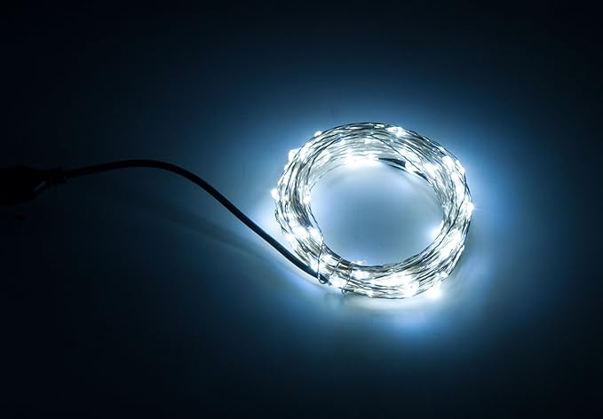 Karlling USB Plug in LED Fairy Lights,100 LED Bulbs 33 Ft Silver Wire Waterproof Starry String Lights for Bedroom Patio Garden Party Wedding Commercial Lighting (White)