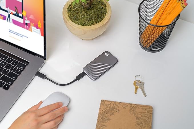 Western Digital 1TB My Passport SSD Portable External Solid State Drive, Gray, Sturdy and Blazing Fast, Password Protection with Hardware Encryption - WDBAGF0010BGY-WESN