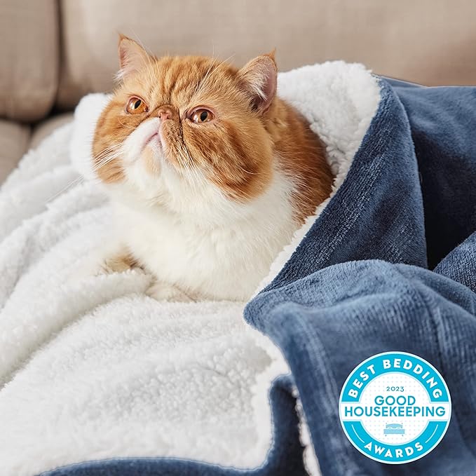 Bedsure GentleSoft Sherpa Fleece Blankets Queen Size for Bed - Thick and Warm, Soft Fuzzy Plush Queen Blanket for Winter, Slate Blue, 90x90 Inches