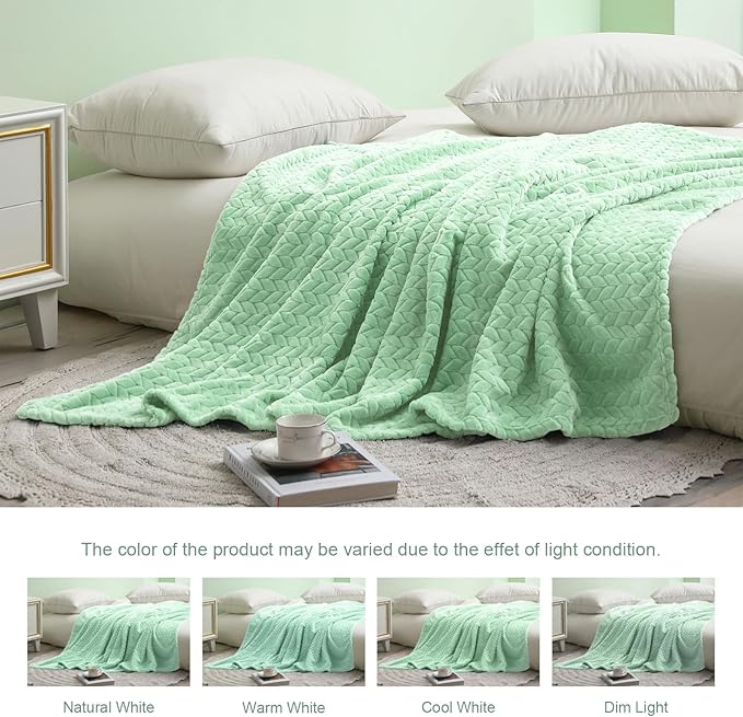 Exclusivo Mezcla Fleece Throw Blanket for Couch, 50x70 Inches Soft Cozy Jacquard Flannel Blankets, Lightweight Fuzzy Plush Warm Throws for Winter, Light Green