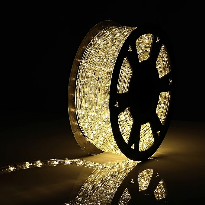 100Ft Rope Lights Outdoor, LED Strip Lights Waterproof Decorative Lighting for Indoor/Outdoor Decorations, Eaves, Backyards Garden, Patio and Bedroom, Christmas Decorations