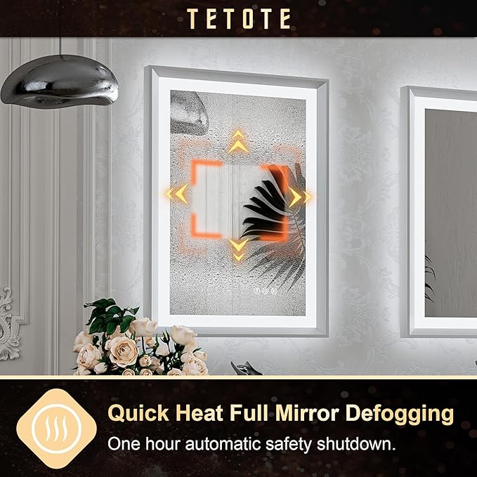 TETOTE Bathroom Mirror with Lights 20x28 Brushed Nickel LED Mirror Silver Frame Frontlit & Backlit Lighted Vanity Mirror Baroque Anti Fog Dimmable White/Warm/Natural,Wall Mounted(Horizontal/Vertical)