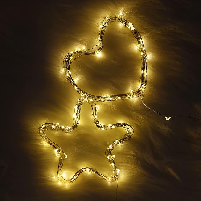 Karlling USB Plug in LED Fairy Lights,2 Packs of 100 LED Bulbs 33 Ft Silver Wire Waterproof Starry String Lights for Bedroom Patio Garden Party Wedding Commercial Lighting (Warm White)