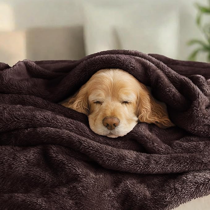 Exclusivo Mezcla Plush Fuzzy Fleece Bed Blanket Twin Size, Super Soft, Fluffy and Warm Blankets, Suitable for All Seasons (Coffee, 90x66 Inches)