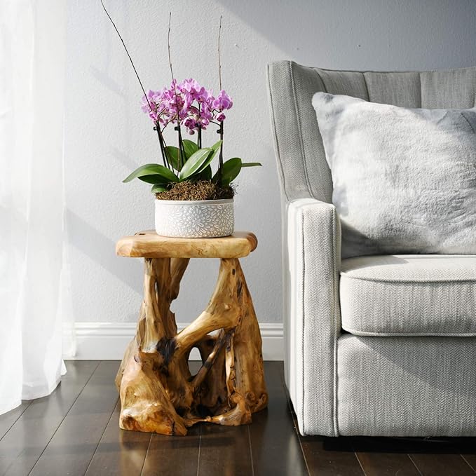 WELLAND Natural Tree Stump Stool, 19'' Tall Side Table, Live Edge Stool, Natural Edge End Table, Accent Table, Plant Stand for Living Room, Bedroom,