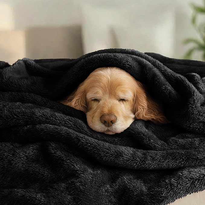 Exclusivo Mezcla Plush Fuzzy Fleece Bed Blanket Queen Size, Super Soft, Fluffy and Warm Blankets Suitable for All Seasons (Black, 90x90 Inches)