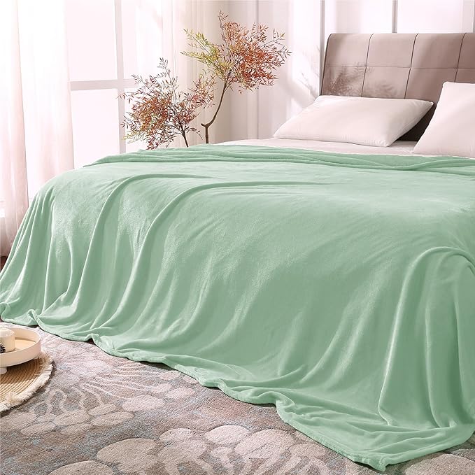 BEDELITE Fleece Blankets Queen Size Mint Green Throw Blankets for Bed, Luxury Plush Cozy Fuzzy Blanket 90x90 inches, Super Soft Warm Lightweight Throw Blanket All Seasons Suitable