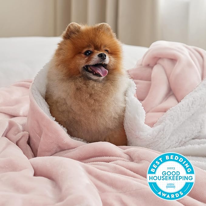 Bedsure GentleSoft Sherpa Fleece Throw Blanket Twin Size for Couch - Thick and Warm Throw for Girls and Women, Soft Fuzzy Plush Twin Blanket for Winter, Pink, 60x80 Inches