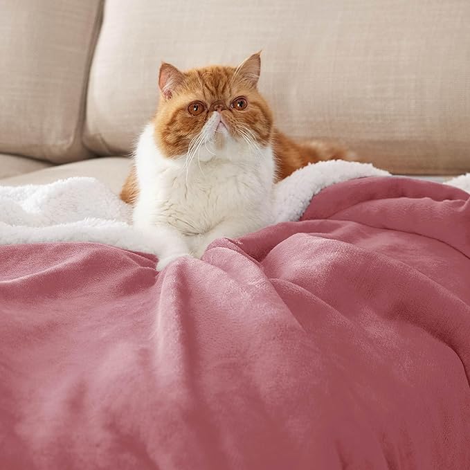Bedsure GentleSoft Sherpa Fleece Blankets Queen Size for Bed - Thick and Warm Throw for Girls and Women, Soft Fuzzy Plush Queen Blanket for Winter, Dusty Rose, 90x90 Inches
