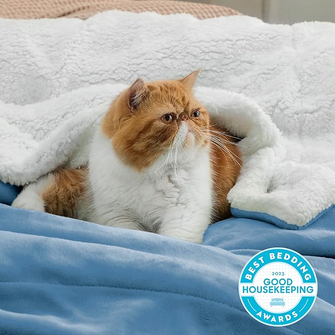 Bedsure GentleSoft Sherpa Fleece Throw Blanket Twin Size for Couch - Thick and Warm Throw for Women and Men, Soft Fuzzy Plush Twin Blanket for Winter, Washed Blue, 60x80 Inches