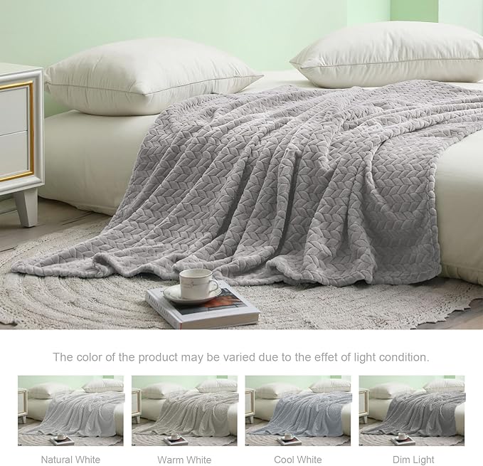 Exclusivo Mezcla Fleece Twin Size Blanket for Bed, 90x66 Inches Soft Cozy Jacquard Flannel Blankets, Lightweight Fuzzy Plush Warm for Winter, Light Grey