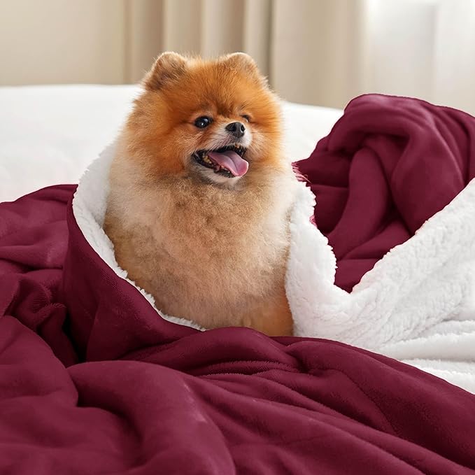 Bedsure GentleSoft Sherpa Fleece Throw Blanket Twin Size for Couch - Thick and Warm Throw for Girls and Women, Soft Fuzzy Plush Twin Christmas Blanket for Winter, Burgundy, 60x80 Inches