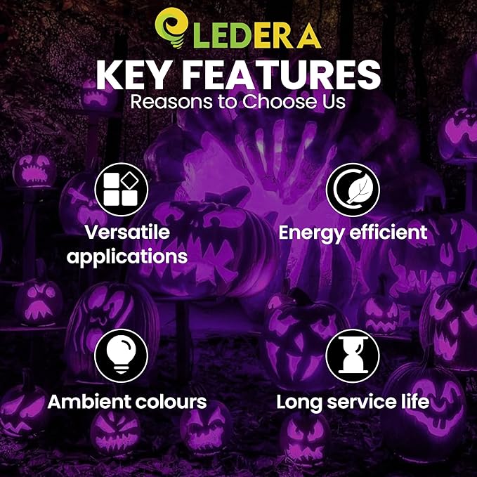 LED Purple Light Bulb, 40W Equivalent LED A15 Bulb, E26 Medium Base Bulb for Halloween, Christmas, Party, Bar, Holiday Lighting, Non-Dimmable, 2 Packs