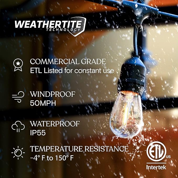 Brightech Ambience Pro LED String Lights - 48 Ft Commercial Grade Patio Lights Outdoor Waterproof - Heavy Duty Porch String Lights for Backyard, Christmas - Dimmable Vintage Edison 1W 15 Bulbs,