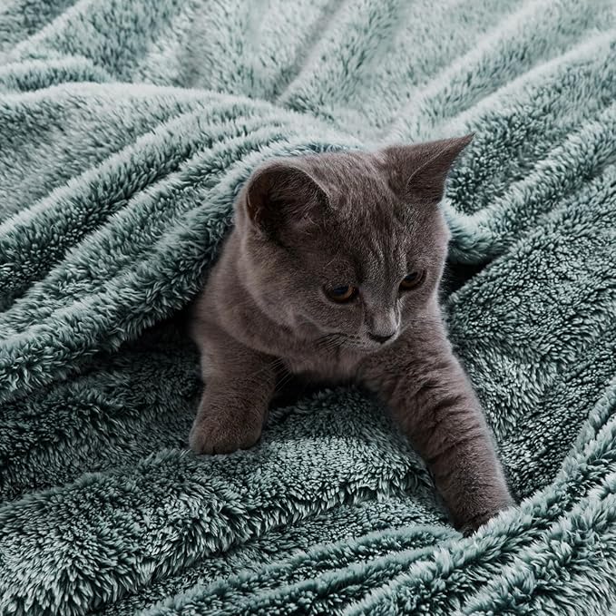 Exclusivo Mezcla Plush Fuzzy Fleece Throw Blanket Extra Large, Super Soft, Fluffy and Warm Blankets for Couch, Bed, Suitable for All Seasons (50x70 Inches, Mixed Green)