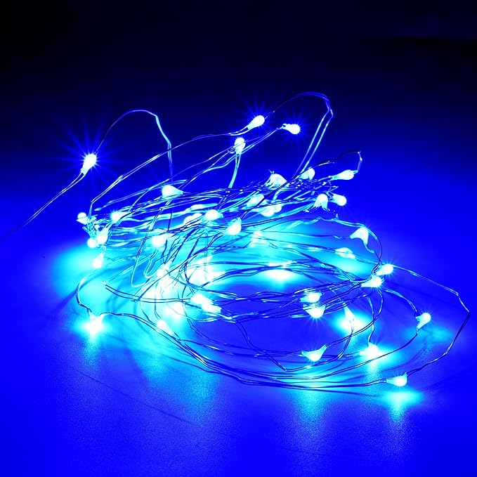 Karlling USB Plug in LED Fairy Lights,50 LED Bulbs 16 Ft Silver Wire Starry String Lights for Bedroom Patio Garden Party Wedding Commercial Lighting (Blue)
