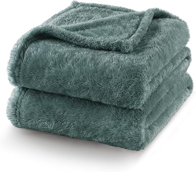 Exclusivo Mezcla Plush Fuzzy Fleece Bed Blanket King Size, Super Soft, Fluffy and Warm Blankets, Suitable for All Seasons (Celadon, 90x104 Inches)