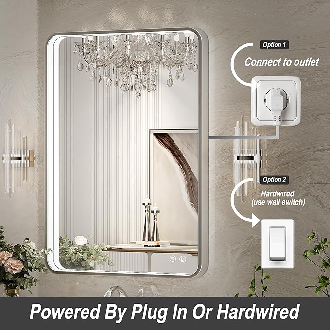 LED Bathroom Mirror with Lights,20x28 Inch Brushed Silver Framed Lighted Vanity Mirror,Anti Fog Stepless Dimmable Wall Mounted(Horizontal/Vertical)
