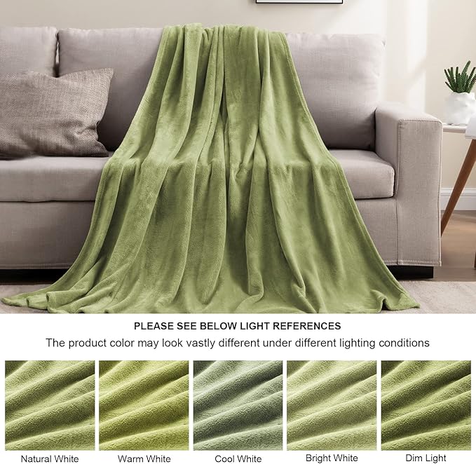 BEDELITE Fleece Blankets Queen Size Sage Green Throw Blankets for Bed, Luxury Plush Cozy Fuzzy Blanket 90x90 inches, Super Soft Warm Lightweight Throw Blanket All Seasons Suitable