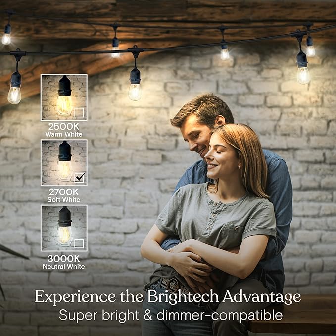 Brightech Ambience Pro - Waterproof LED Outdoor String Lights - 7 Hanging, Dimmable 2w Vintage Edison Bulbs - 24 Ft Commercial Grade Patio Lights Create Cafe Ambience in Your Backyard - Black