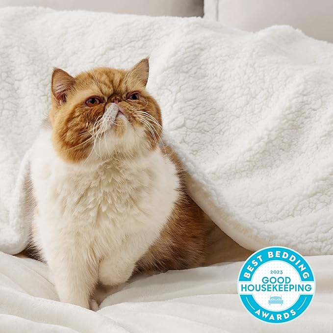 Bedsure GentleSoft Sherpa Fleece Blankets King Size for Bed - Thick and Warm Throw for Women and Men, Soft Fuzzy Plush King Blanket for Winter, Cream, 108x90 Inches