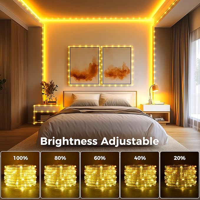 Minetom Color Changing Rope Lights Outdoor, 33FT 100 LED String Lights with Plug & Remote, Waterproof Christmas Light Outdoor Decoration, Twinkle Rope Light for Outside Indoor Bedroom,16 Colors