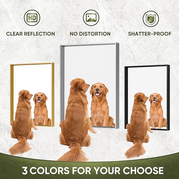 Suidia Bathroom Mirror, 60" x 30" Wall Mirror Metal Framed, Bathroom Vanity Mirror for Living Room Bedroom Bathroom Entryway, Silver, Rect Corner Style