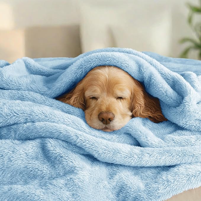Exclusivo Mezcla Plush Fuzzy Fleece Bed Blanket Queen Size, Super Soft, Fluffy and Warm Blankets，Suitable for All Seasons (Light Blue, 90x90 Inches)