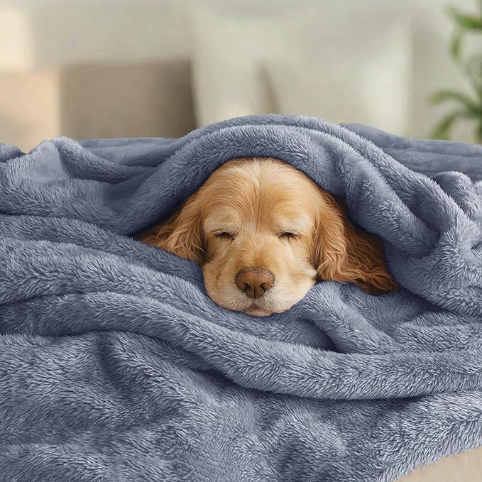 Exclusivo Mezcla Plush Fuzzy Fleece Bed Blanket King Size, Super Soft, Fluffy and Warm Blankets, Suitable for All Seasons (Stone Blue, 90x104 Inches)