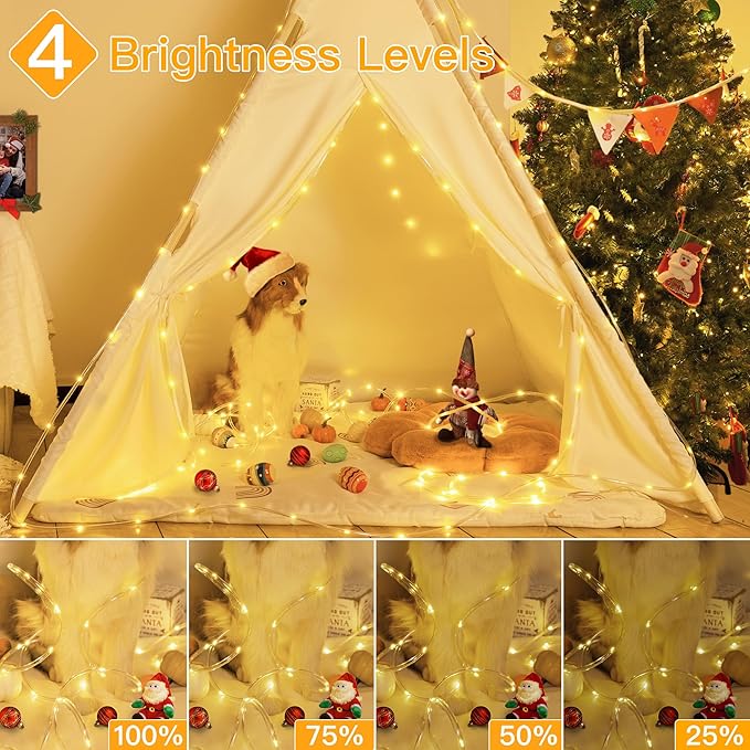 Ollny Rope Lights 33FT 100 LED, USB Power Warm White String Lights with Remote, 8 Modes IP68 Waterproof Timer Christmas Lights for Bedroom Indoor Wall Party Wedding Decor