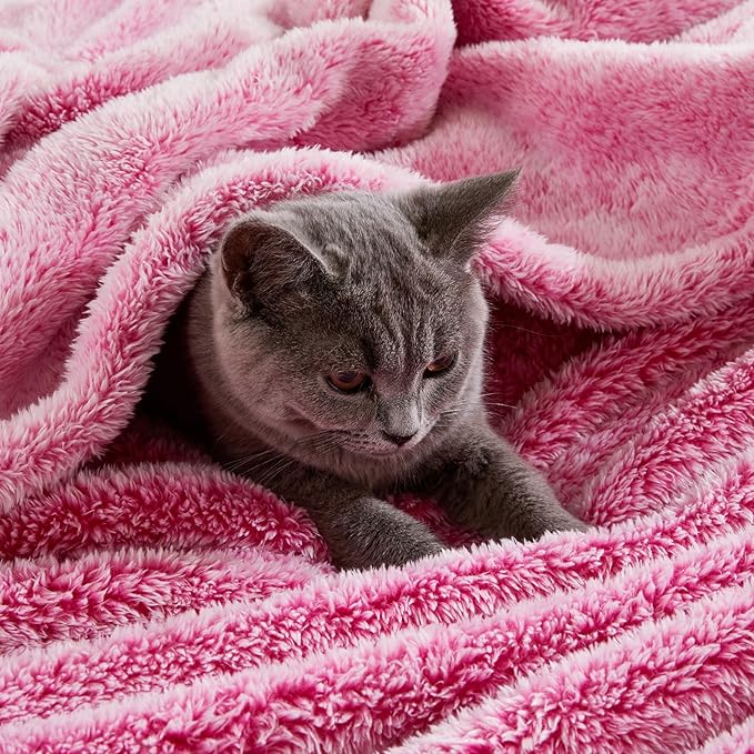 Exclusivo Mezcla Plush Fuzzy Fleece Throw Blanket Extra Large, Super Soft, Fluffy and Warm Blankets for Couch, Bed, Suitable for All Seasons (50x70 Inches, Mixed Hot Pink)