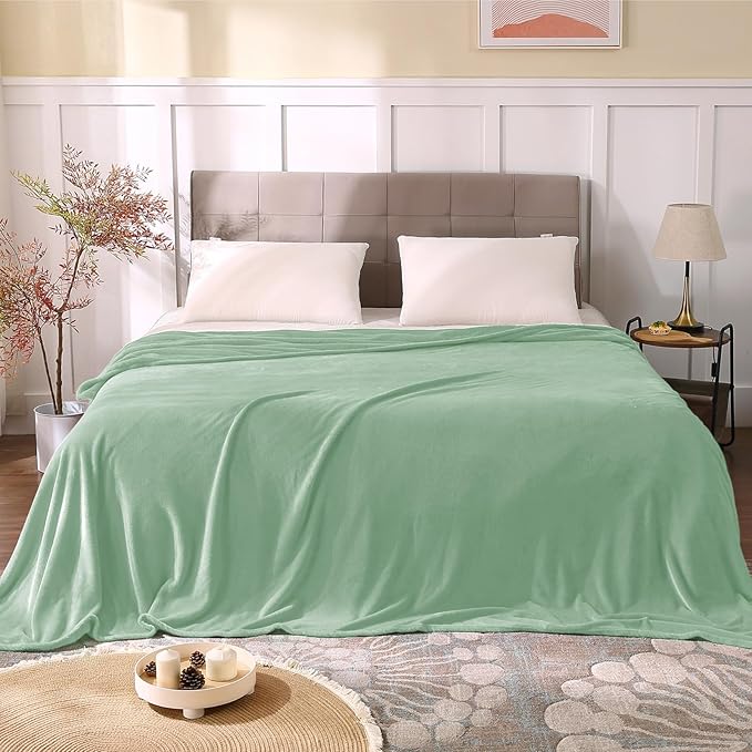 BEDELITE Fleece Blankets Queen Size Mint Green Throw Blankets for Bed, Luxury Plush Cozy Fuzzy Blanket 90x90 inches, Super Soft Warm Lightweight Throw Blanket All Seasons Suitable