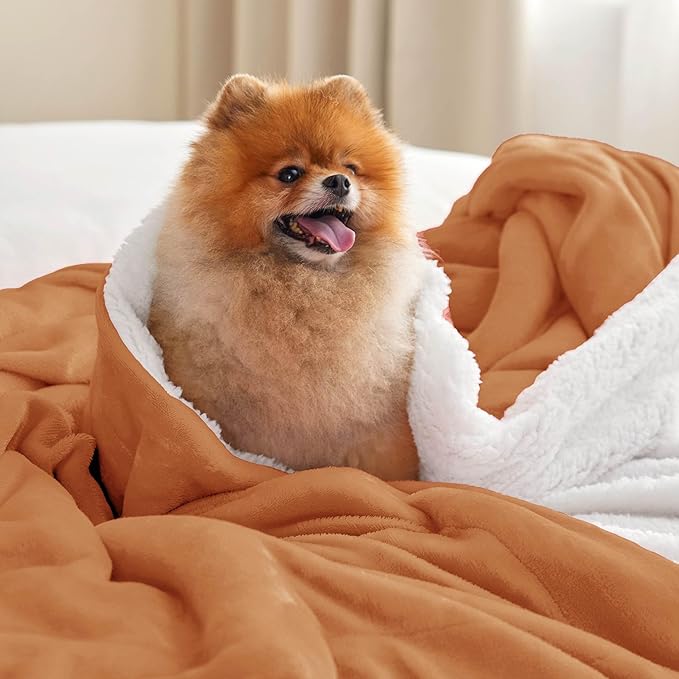 Bedsure GentleSoft Sherpa Fleece Blankets King Size for Bed - Thick and Warm Throw for Women and Men, Soft Fuzzy Plush King Blanket for Winter, Burnt Orange, 108x90 Inches